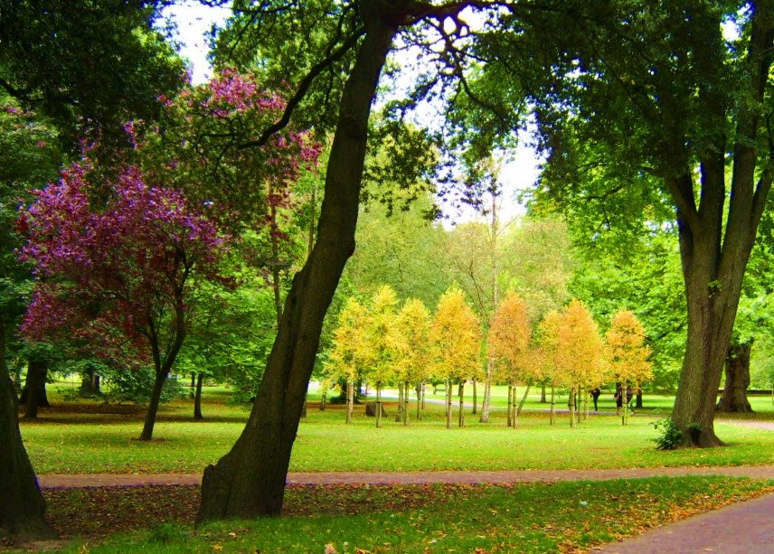 Bute Park, United Kingdom